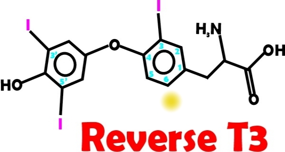 rT3 (reverse T3) thyroid hormone structure